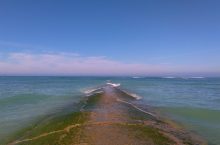 Camping sur l&rsquo;ile de ré ouvert toute l&rsquo;année